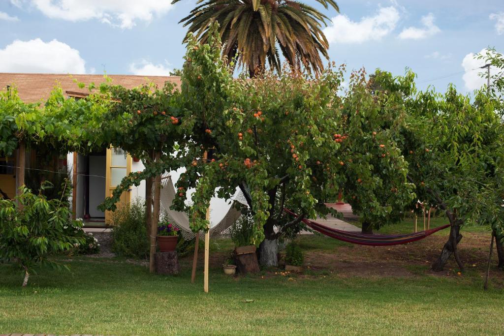 Bed and Breakfast Casa Pando Santa Cruz Exterior foto
